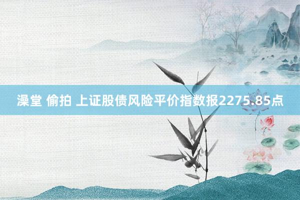 澡堂 偷拍 上证股债风险平价指数报2275.85点