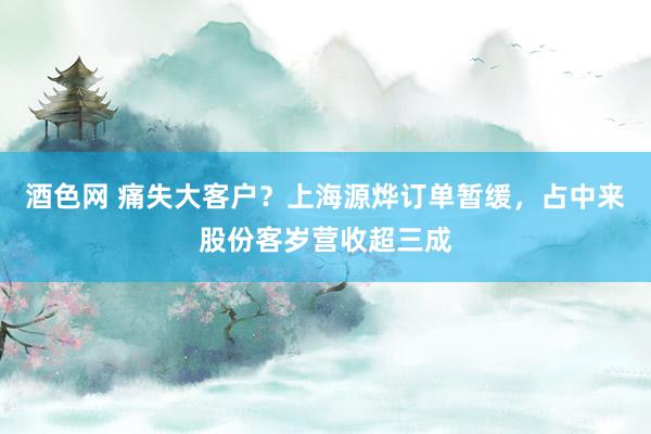 酒色网 痛失大客户？上海源烨订单暂缓，占中来股份客岁营收超三成