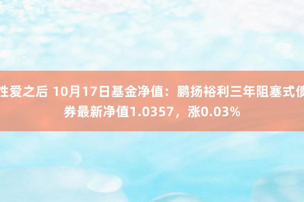 性爱之后 10月17日基金净值：鹏扬裕利三年阻塞式债券最新净值1.0357，涨0.03%
