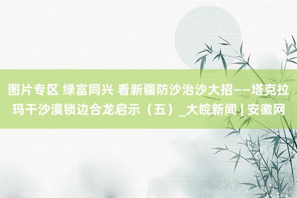 图片专区 绿富同兴 看新疆防沙治沙大招——塔克拉玛干沙漠锁边合龙启示（五）_大皖新闻 | 安徽网