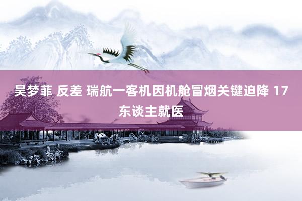 吴梦菲 反差 瑞航一客机因机舱冒烟关键迫降 17东谈主就医