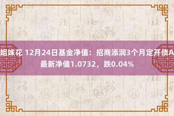 姐妹花 12月24日基金净值：招商添润3个月定开债A最新净值1.0732，跌0.04%