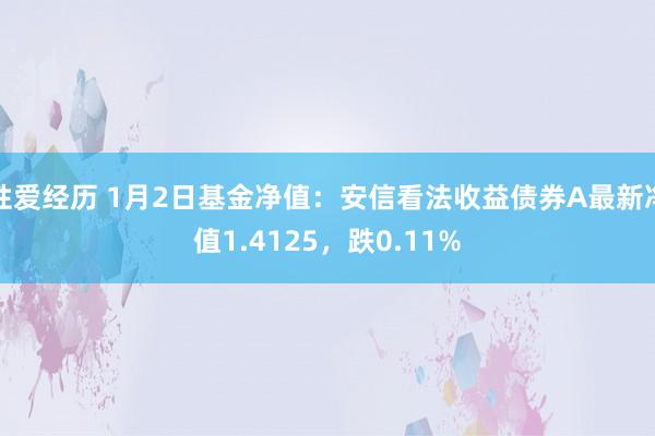 性爱经历 1月2日基金净值：安信看法收益债券A最新净值1.4125，跌0.11%
