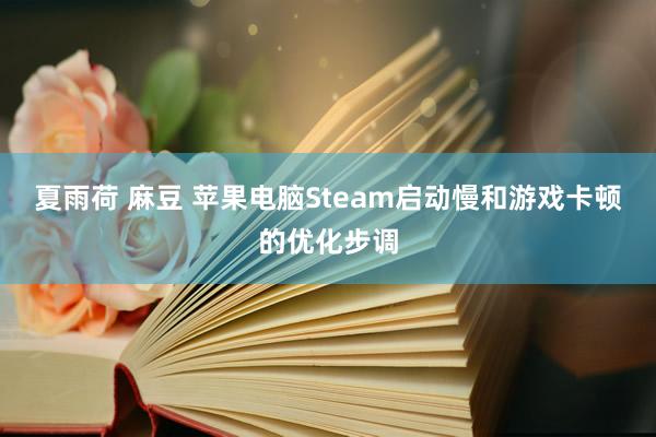 夏雨荷 麻豆 苹果电脑Steam启动慢和游戏卡顿的优化步调