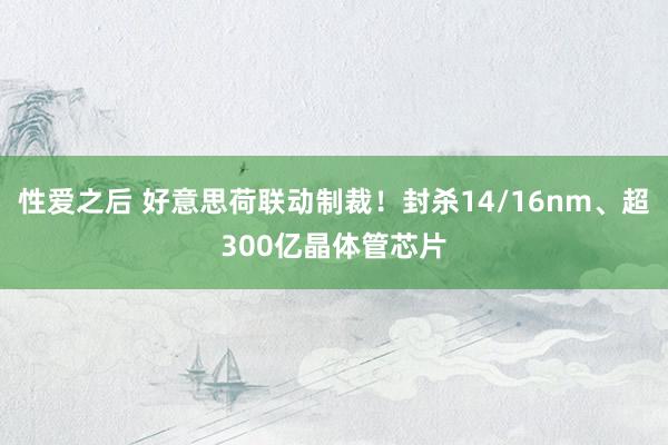 性爱之后 好意思荷联动制裁！封杀14/16nm、超300亿晶体管芯片