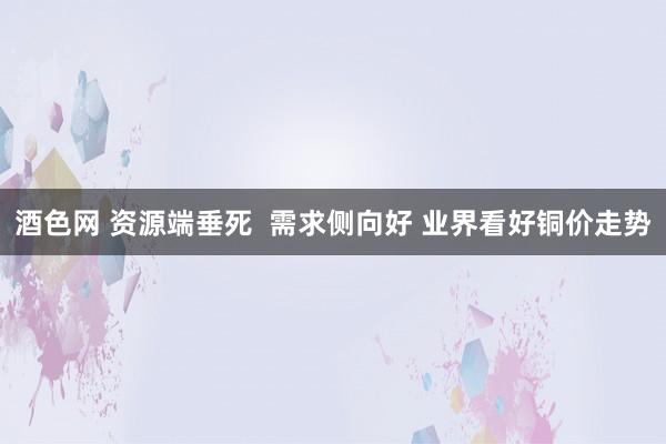 酒色网 资源端垂死  需求侧向好 业界看好铜价走势