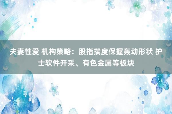 夫妻性爱 机构策略：股指揣度保握轰动形状 护士软件开采、有色金属等板块