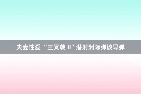 夫妻性爱 “三叉戟 II”潜射洲际弹谈导弹