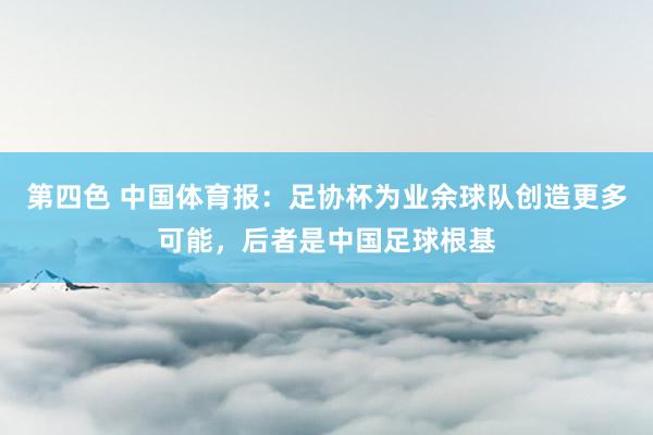 第四色 中国体育报：足协杯为业余球队创造更多可能，后者是中国足球根基