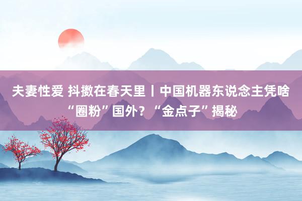 夫妻性爱 抖擞在春天里丨中国机器东说念主凭啥“圈粉”国外？“金点子”揭秘