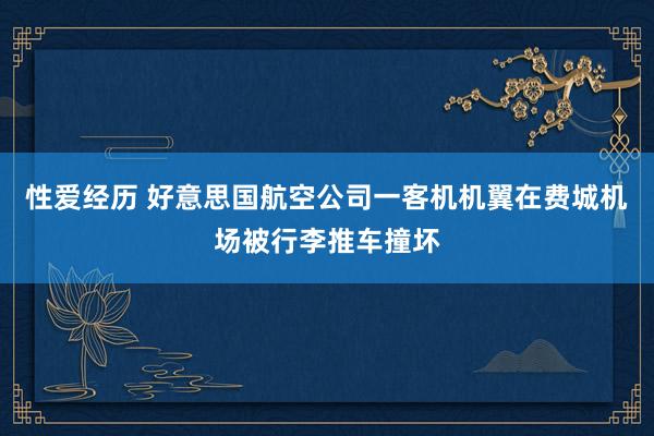 性爱经历 好意思国航空公司一客机机翼在费城机场被行李推车撞坏
