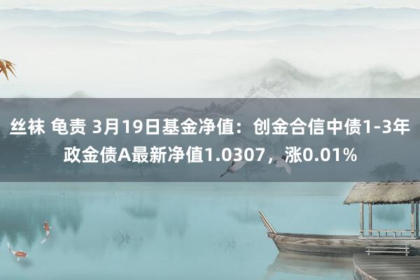 丝袜 龟责 3月19日基金净值：创金合信中债1-3年政金债A最新净值1.0307，涨0.01%