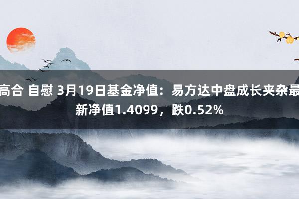 高合 自慰 3月19日基金净值：易方达中盘成长夹杂最新净值1.4099，跌0.52%