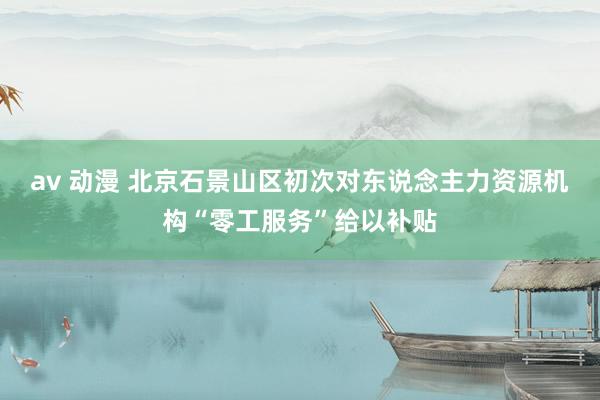 av 动漫 北京石景山区初次对东说念主力资源机构“零工服务”给以补贴