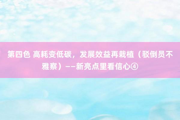 第四色 高耗变低碳，发展效益再栽植（驳倒员不雅察）——新亮点里看信心④