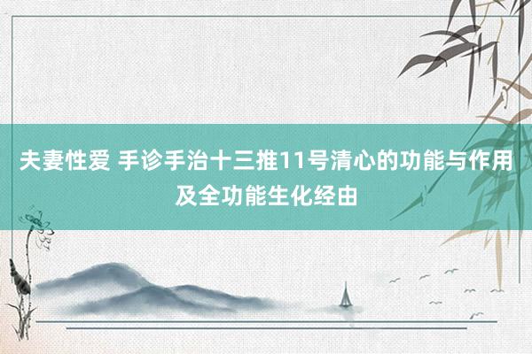 夫妻性爱 手诊手治十三推11号清心的功能与作用及全功能生化经由