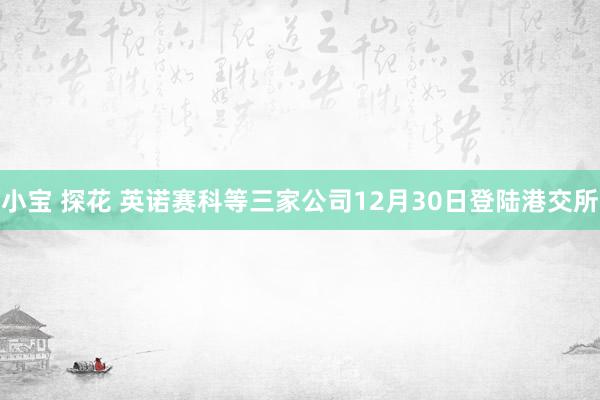 小宝 探花 英诺赛科等三家公司12月30日登陆港交所