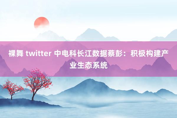 裸舞 twitter 中电科长江数据蔡彭：积极构建产业生态系统