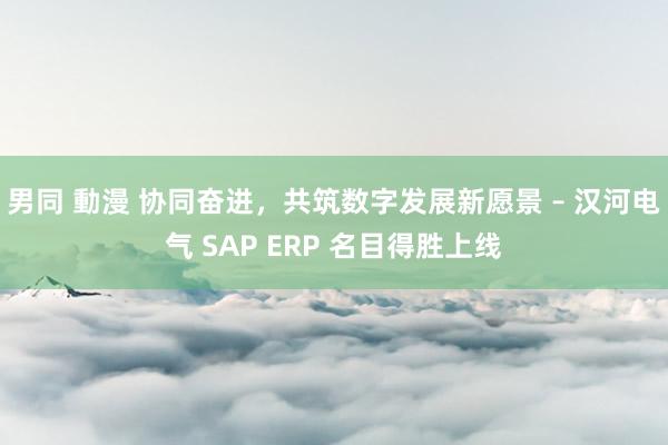 男同 動漫 协同奋进，共筑数字发展新愿景 – 汉河电气 SAP ERP 名目得胜上线