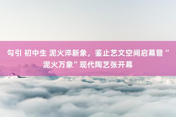 勾引 初中生 泥火淬新象，鉴止艺文空间启幕暨“泥火万象”现代陶艺张开幕