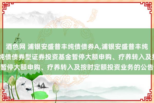 酒色网 浦银安盛普丰纯债债券A,浦银安盛普丰纯债债券C: 浦银安盛普丰纯债债券型证券投资基金暂停大额申购、疗养转入及按时定额投资业务的公告