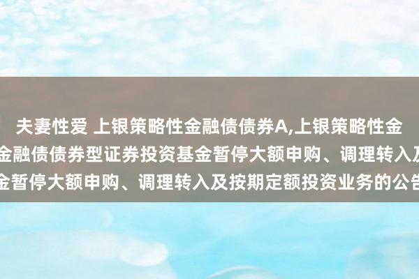 夫妻性爱 上银策略性金融债债券A,上银策略性金融债债券C: 上银策略性金融债债券型证券投资基金暂停大额申购、调理转入及按期定额投资业务的公告