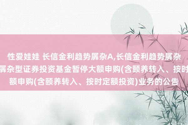 性爱娃娃 长信金利趋势羼杂A,长信金利趋势羼杂C: 对于长信金利趋势羼杂型证券投资基金暂停大额申购(含颐养转入、按时定额投资)业务的公告