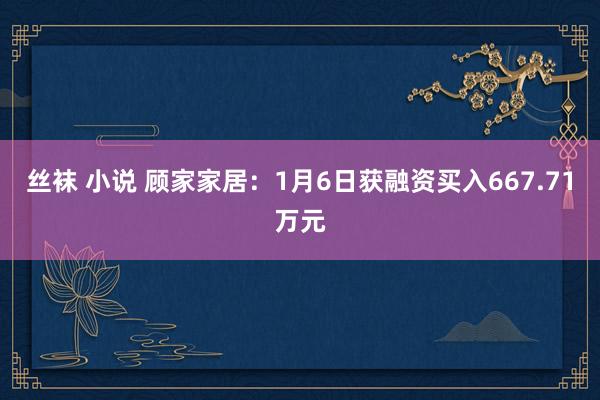 丝袜 小说 顾家家居：1月6日获融资买入667.71万元