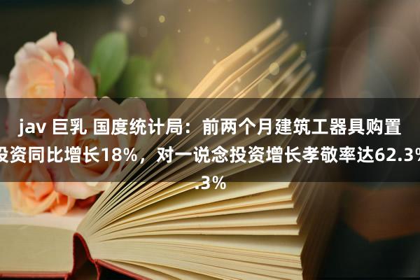 jav 巨乳 国度统计局：前两个月建筑工器具购置投资同比增长18%，对一说念投资增长孝敬率达62.3%