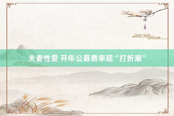 夫妻性爱 开年公募费率现“打折潮”