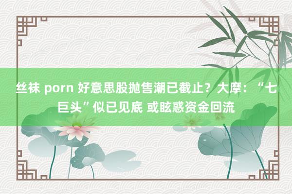 丝袜 porn 好意思股抛售潮已截止？大摩：“七巨头”似已见底 或眩惑资金回流
