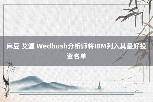 麻豆 艾鲤 Wedbush分析师将IBM列入其最好投资名单