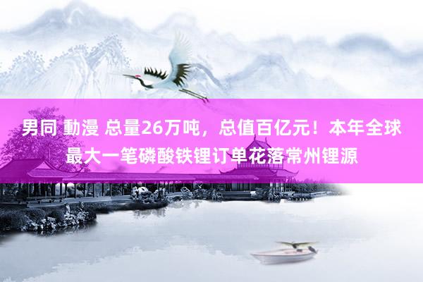 男同 動漫 总量26万吨，总值百亿元！本年全球最大一笔磷酸铁锂订单花落常州锂源