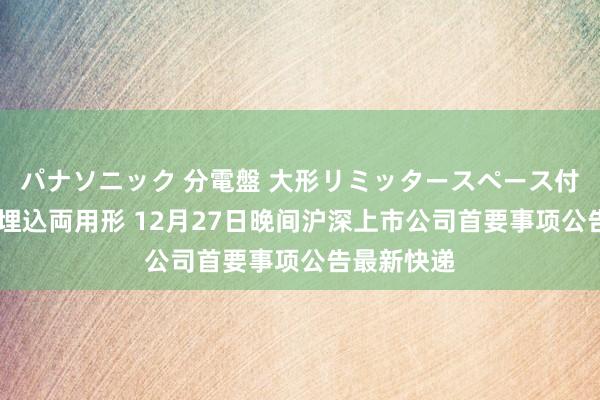 パナソニック 分電盤 大形リミッタースペース付 露出・半埋込両用形 12月27日晚间沪深上市公司首要事项公告最新快递