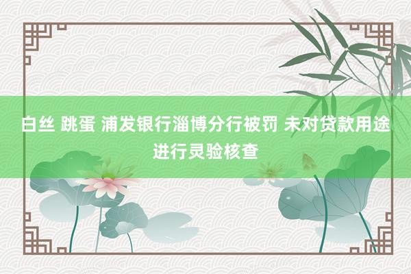 白丝 跳蛋 浦发银行淄博分行被罚 未对贷款用途进行灵验核查