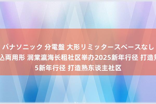 パナソニック 分電盤 大形リミッタースペースなし 露出・半埋込両用形 润棠瀛海长租社区举办2025新年行径 打造熟东谈主社区