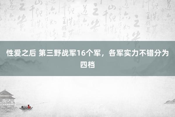性爱之后 第三野战军16个军，各军实力不错分为四档