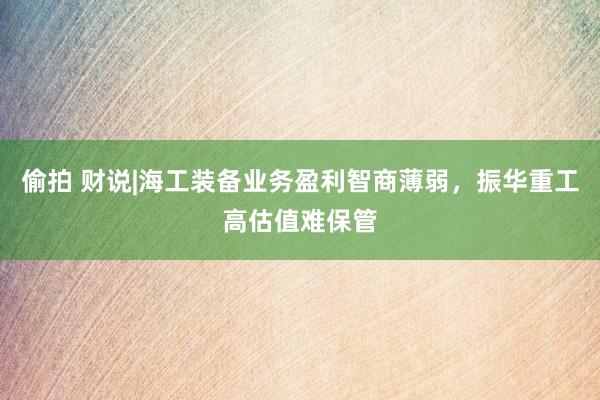 偷拍 财说|海工装备业务盈利智商薄弱，振华重工高估值难保管