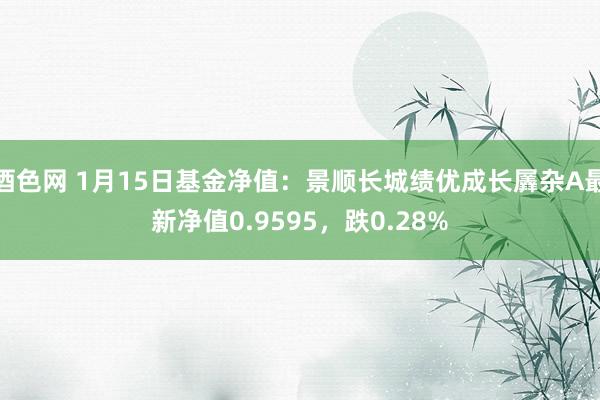 酒色网 1月15日基金净值：景顺长城绩优成长羼杂A最新净值0.9595，跌0.28%