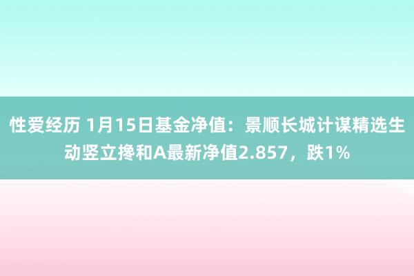 性爱经历 1月15日基金净值：景顺长城计谋精选生动竖立搀和A最新净值2.857，跌1%