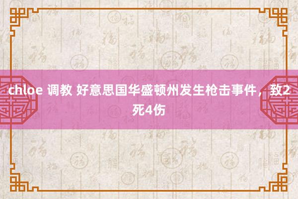 chloe 调教 好意思国华盛顿州发生枪击事件，致2死4伤