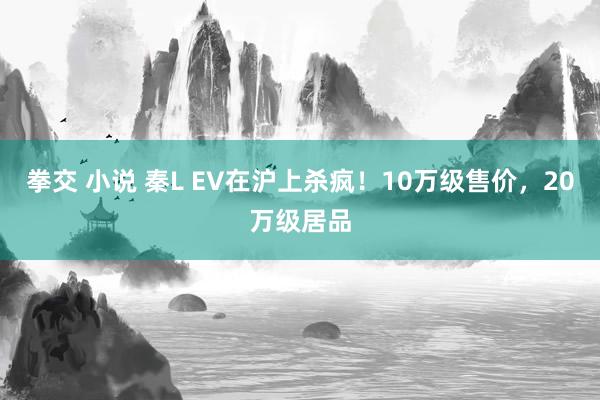 拳交 小说 秦L EV在沪上杀疯！10万级售价，20万级居品