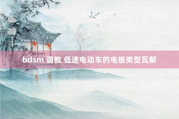 bdsm 调教 低速电动车的电板类型瓦解
