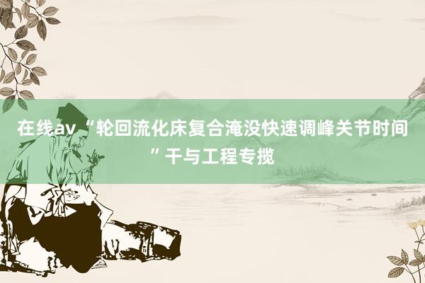 在线av “轮回流化床复合淹没快速调峰关节时间”干与工程专揽