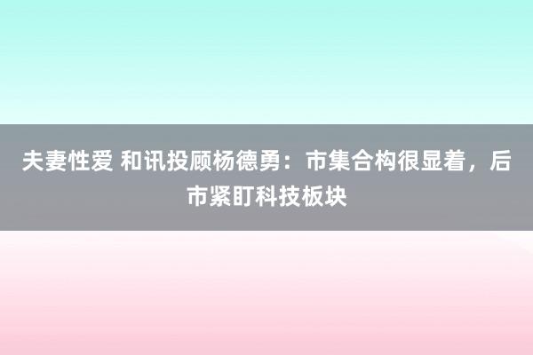 夫妻性爱 和讯投顾杨德勇：市集合构很显着，后市紧盯科技板块