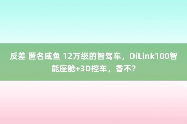 反差 匿名咸鱼 12万级的智驾车，DiLink100智能座舱+3D控车，香不？