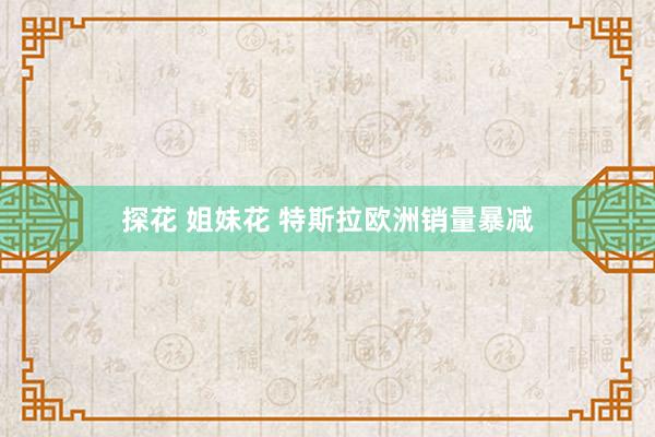 探花 姐妹花 特斯拉欧洲销量暴减