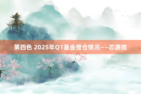 第四色 2025年Q1基金捏仓情况——芯源微