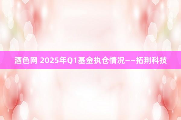 酒色网 2025年Q1基金执仓情况——拓荆科技