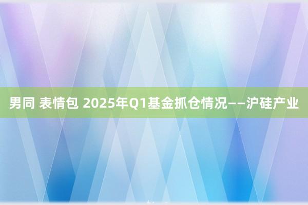 男同 表情包 2025年Q1基金抓仓情况——沪硅产业